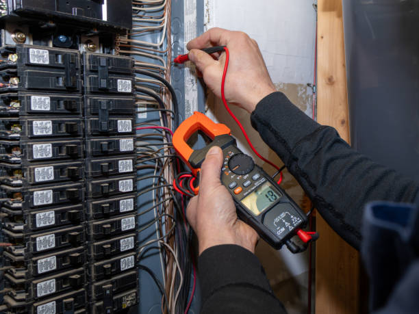 Best Electrician for Home Renovation  in Roseville, MI